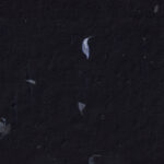 Kraft unique organic art design black paper texture with detailed blue leafs fibers