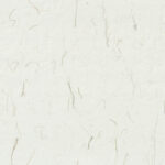 Hand made antique blank sheet paper texture with green plant fibers