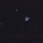 Natural chinese floral decorative black paper texture