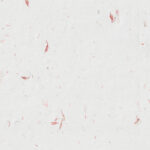 Vintage natural hand-made Japanese red flowers paper texture background