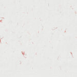 Craft unique organic detailed fibers red flowers paper texture background