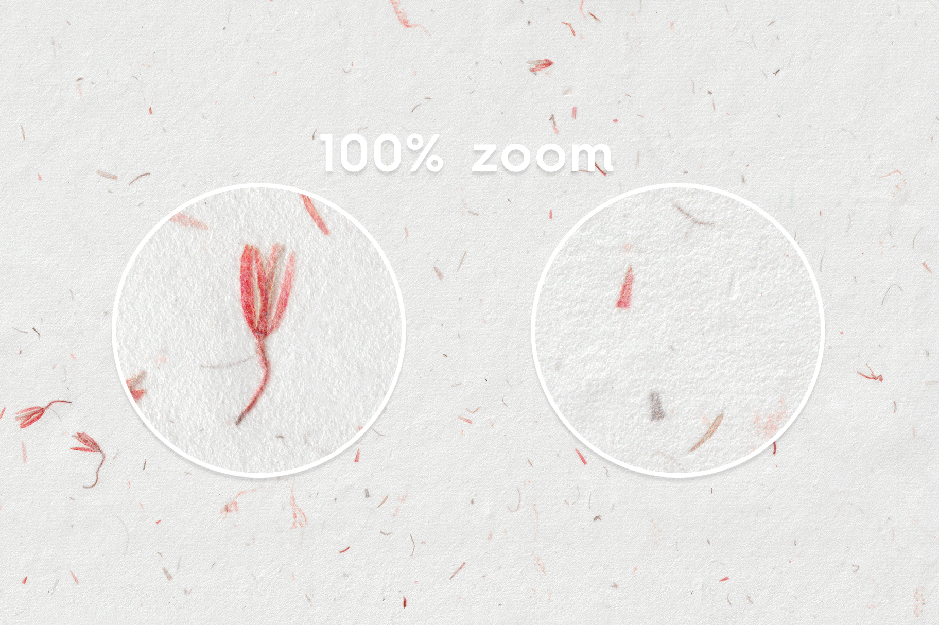 10 Red Flowers Paper Textures 100% Zoom Preview