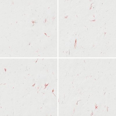 10 Red Flowers Paper Textures Samples Preview - Part 01