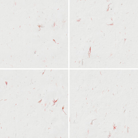 10 Red Flowers Paper Textures Samples Preview - Part 01