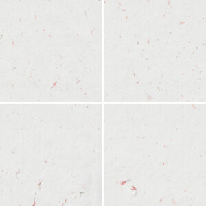 10 Red Flowers Paper Textures Samples Preview - Part 02