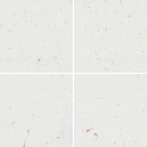 10 Red Flowers Paper Textures Samples Preview - Part 02