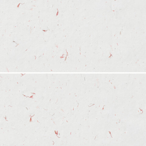 10 Red Flowers Paper Textures Samples Preview - Part 03