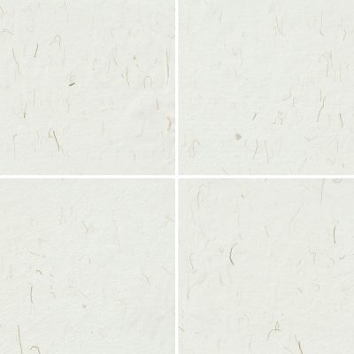 14 Palm Fibers Paper Textures Samples Preview - Part 01