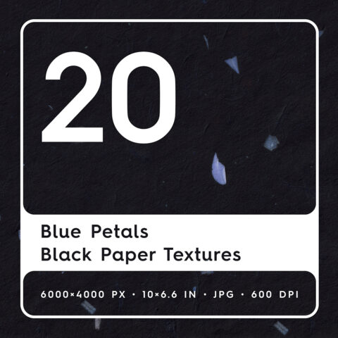 20 Blue Petals Black Paper Textures Square Cover