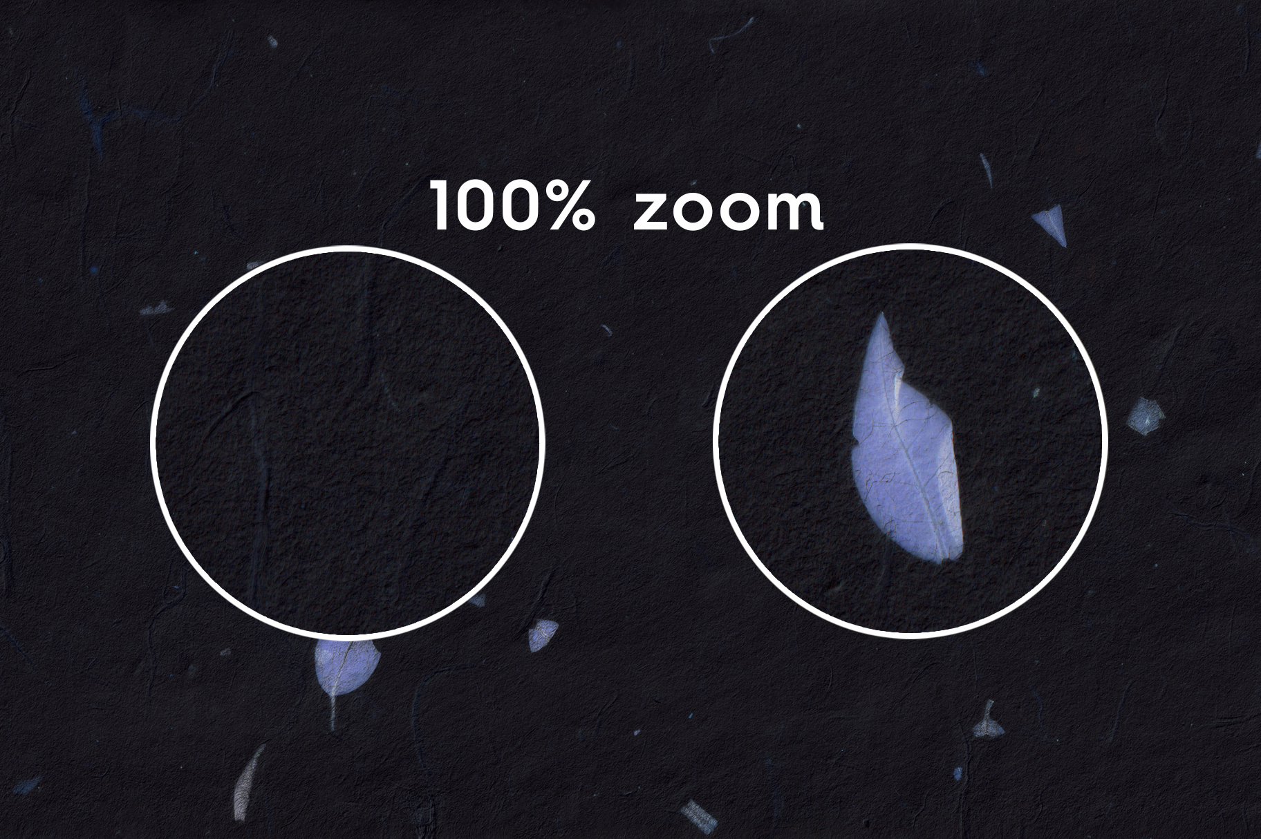 20 Blue Petals Black Paper Textures 100% Zoom View