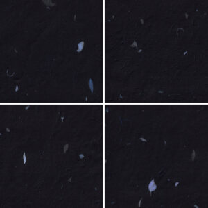 20 Blue Petals Black Paper Textures Samples Preview - Part 01