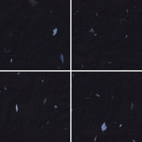 20 Blue Petals Black Paper Textures Samples Preview - Part 01