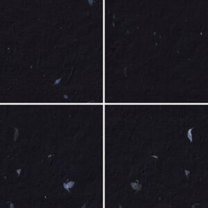 20 Blue Petals Black Paper Textures Samples Preview - Part 02