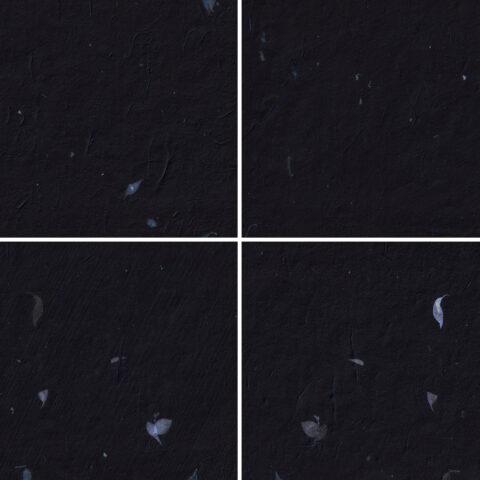 20 Blue Petals Black Paper Textures Samples Preview - Part 02