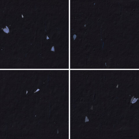 20 Blue Petals Black Paper Textures Samples Preview - Part 03