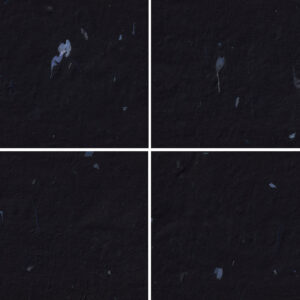 20 Blue Petals Black Paper Textures Samples Preview - Part 05