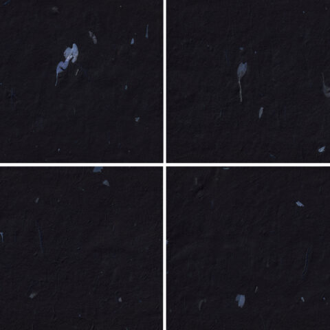 20 Blue Petals Black Paper Textures Samples Preview - Part 05