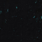 Natural Chinese floral decorative fibers blue flowers paper texture background