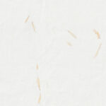 Yellow Petals Paper Texture. Antique Blank Hand Made Blank Sheet Fibers Background. Seamless Transition.