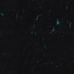 Hand made antique blank sheet fibers blue flowers paper texture background
