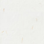 Yellow Petals Paper Texture. Handmade Rice Fibers for Scrapbook Background. Seamless Transition.