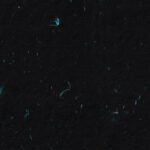 Vintage natural hand-made Japanese blue flowers paper texture background