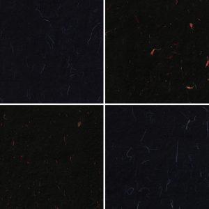 10 Floral Black Rice Paper Textures Samples Preview - Part 02