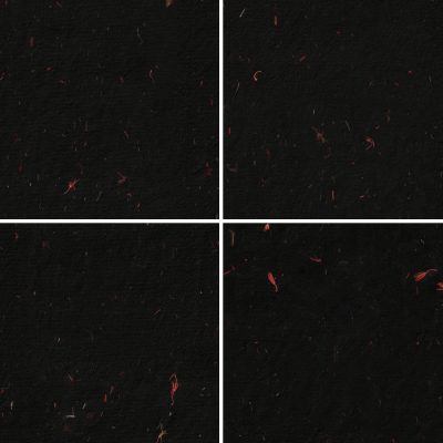 10 Red Flowers Black Paper Textures Samples Preview - Part 02