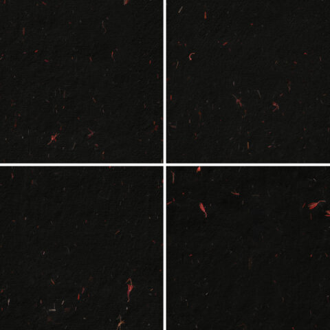 10 Red Flowers Black Paper Textures Samples Preview - Part 02