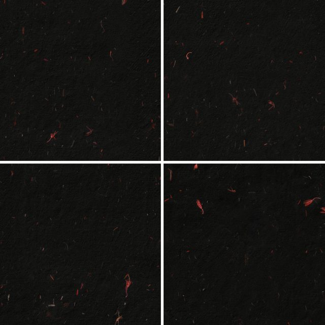 10 Red Flowers Black Paper Textures Samples Preview - Part 02