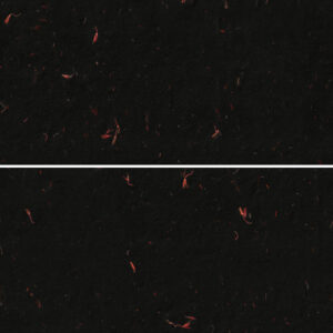 10 Red Flowers Black Paper Textures Samples Preview - Part 03