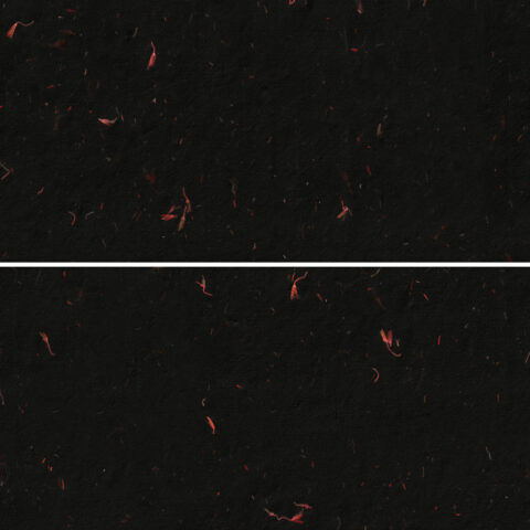 10 Red Flowers Black Paper Textures Samples Preview - Part 03
