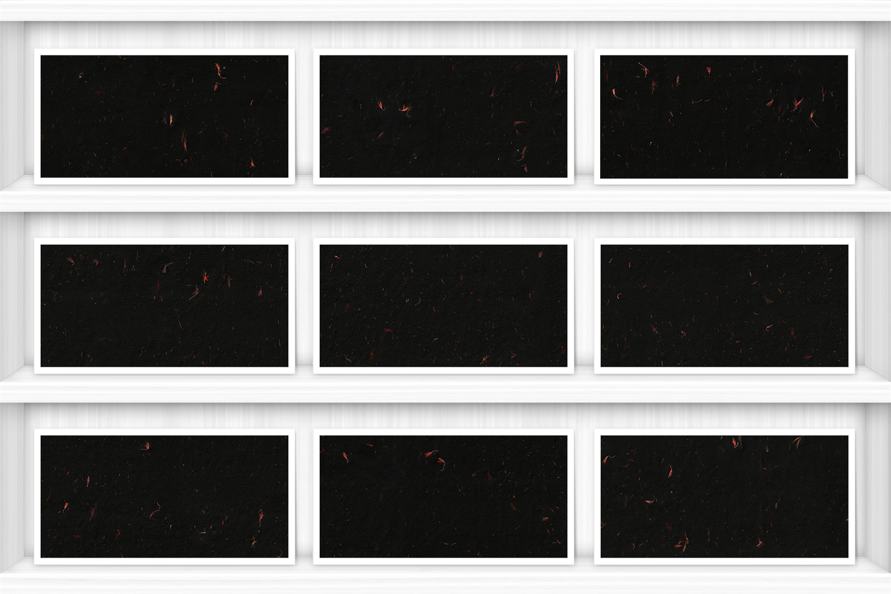10 Red Flowers Black Paper Textures Samples Shelves Showcase