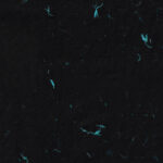 Craft unique organic detailed fibers blue flowers paper texture background