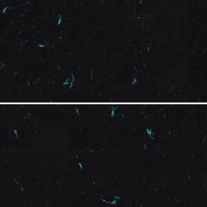 10 Turquoise Flowers Paper Texture Backgrounds Samples Preview - Part 03
