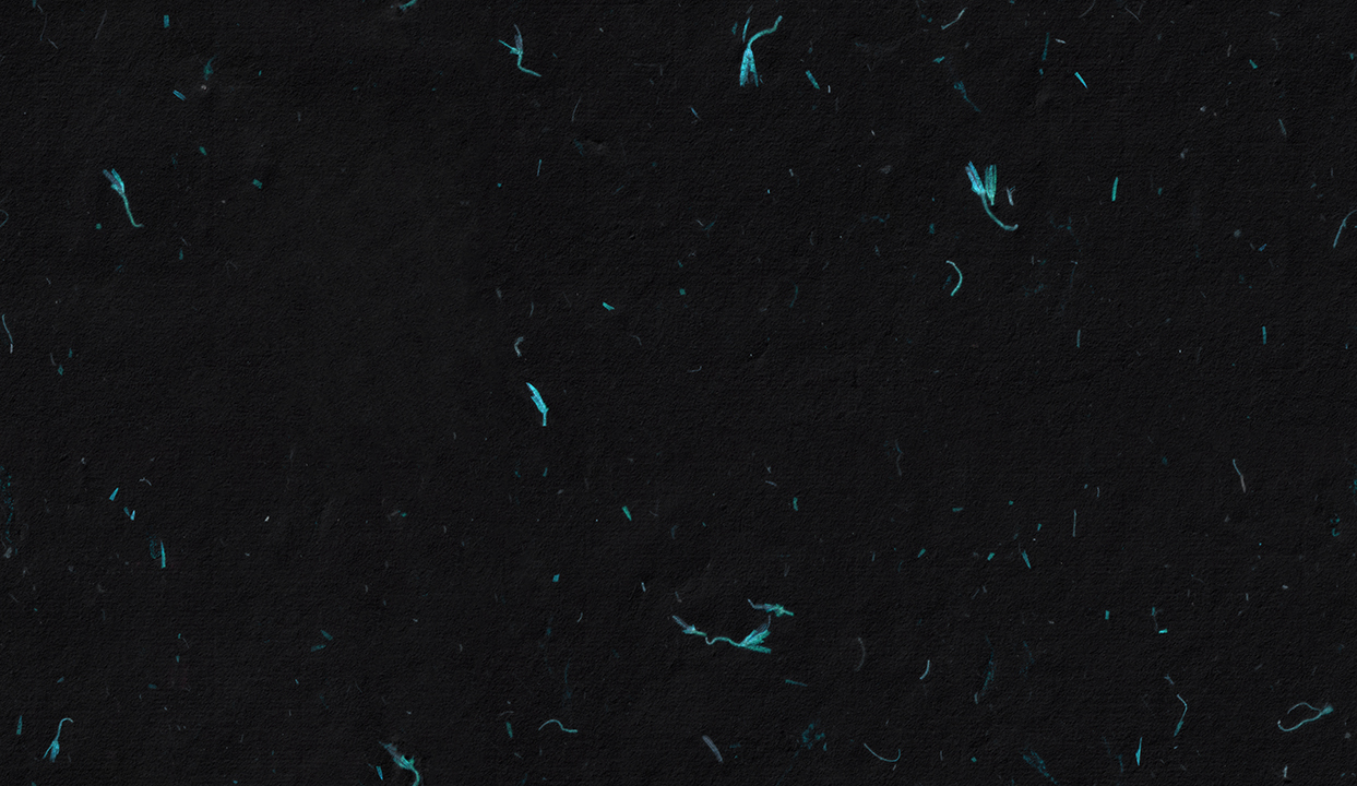 10 Turquoise Flowers Black Paper Textures ~ Textures.World