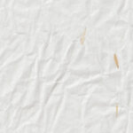 Creases Yellow Petals Paper Texture. Antique Blank Hand Made Blank Sheet Fibers Background. Seamless Transition.