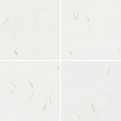 10 Yellow Petals Paper Textures Samples Preview - Part 01