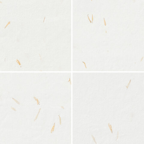 10 Yellow Petals Paper Textures Samples Preview - Part 01