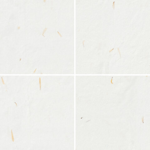 10 Yellow Petals Paper Textures Samples Preview - Part 02