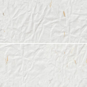 10 Yellow Petals Paper Textures Samples Preview - Part 3