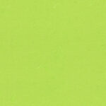 Handmade Rice Paper Texture. Conifer, Light Green Color. Seamless Transition. Detail Culture Japanese Textured Abstract Paper Background.