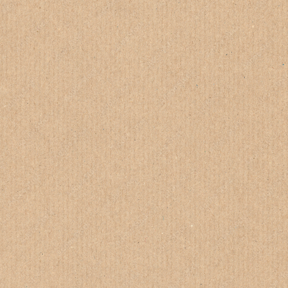 Craft Paper texture
