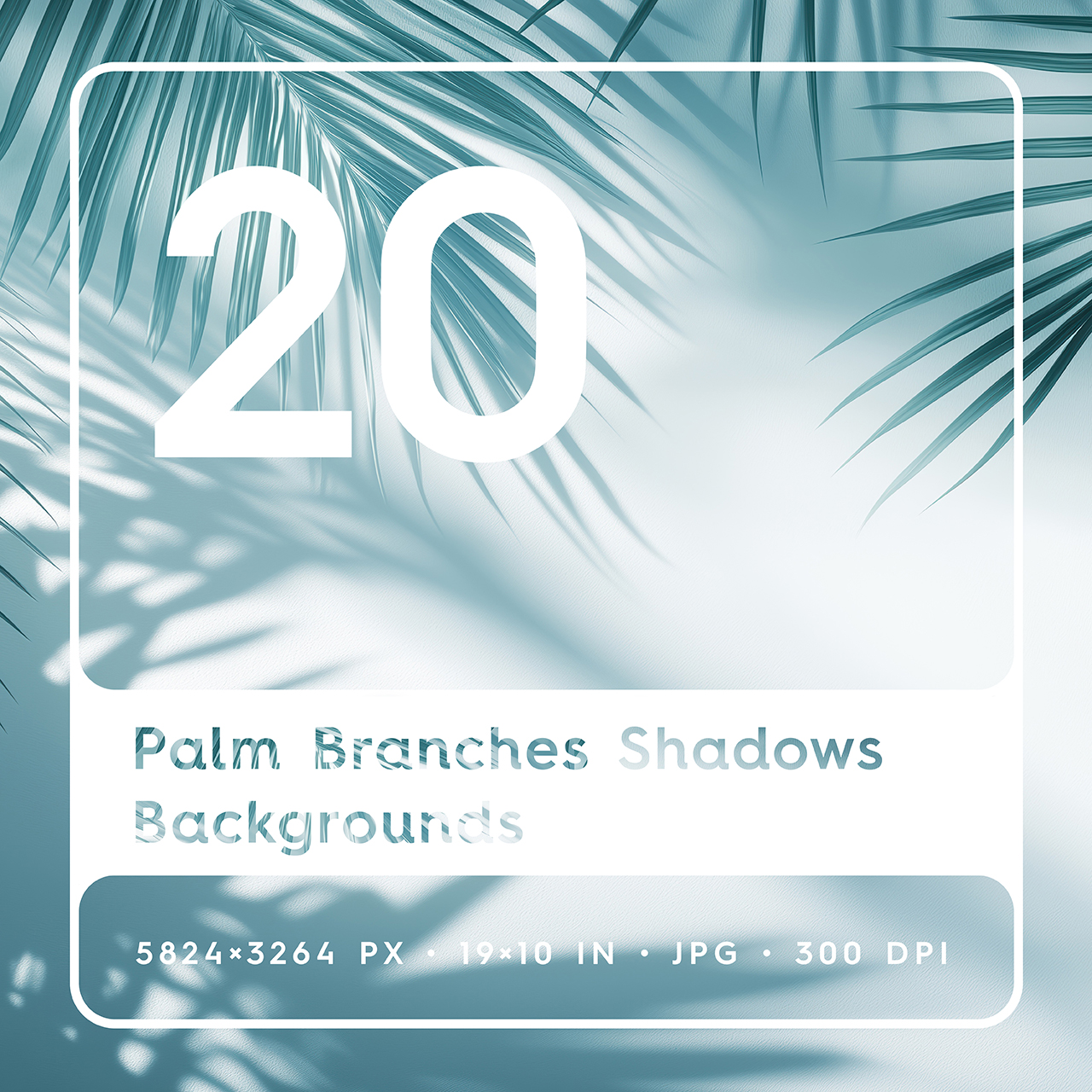 20 Palm Branches Shadows Backgrounds Square Cover