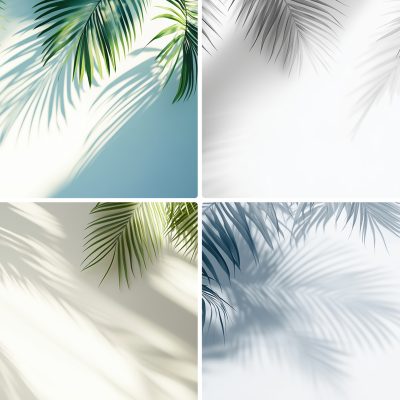 20 Palm Branches Shadows Backgrounds Samples Preview - Part 01