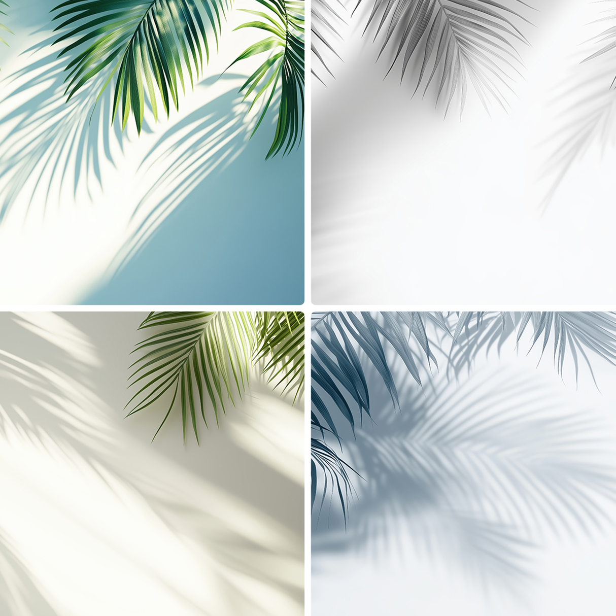 20 Palm Branches Shadows Backgrounds Samples Preview – Part 01