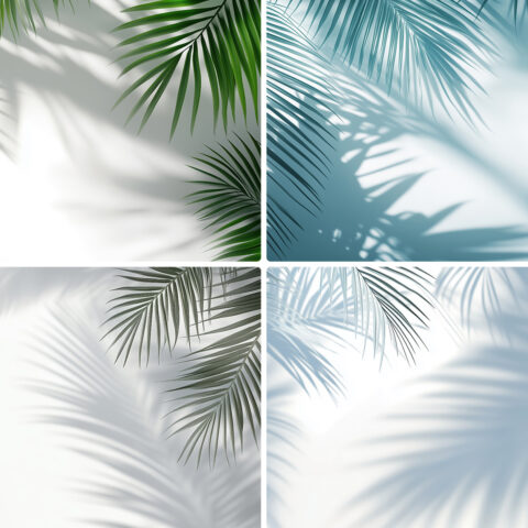 20 Palm Branches Shadows Backgrounds Samples Preview - Part 02