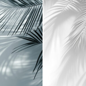 20 Palm Branches Shadows Backgrounds Samples Preview - Part 03