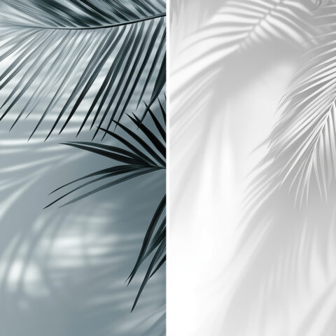 20 Palm Branches Shadows Backgrounds Samples Preview - Part 03