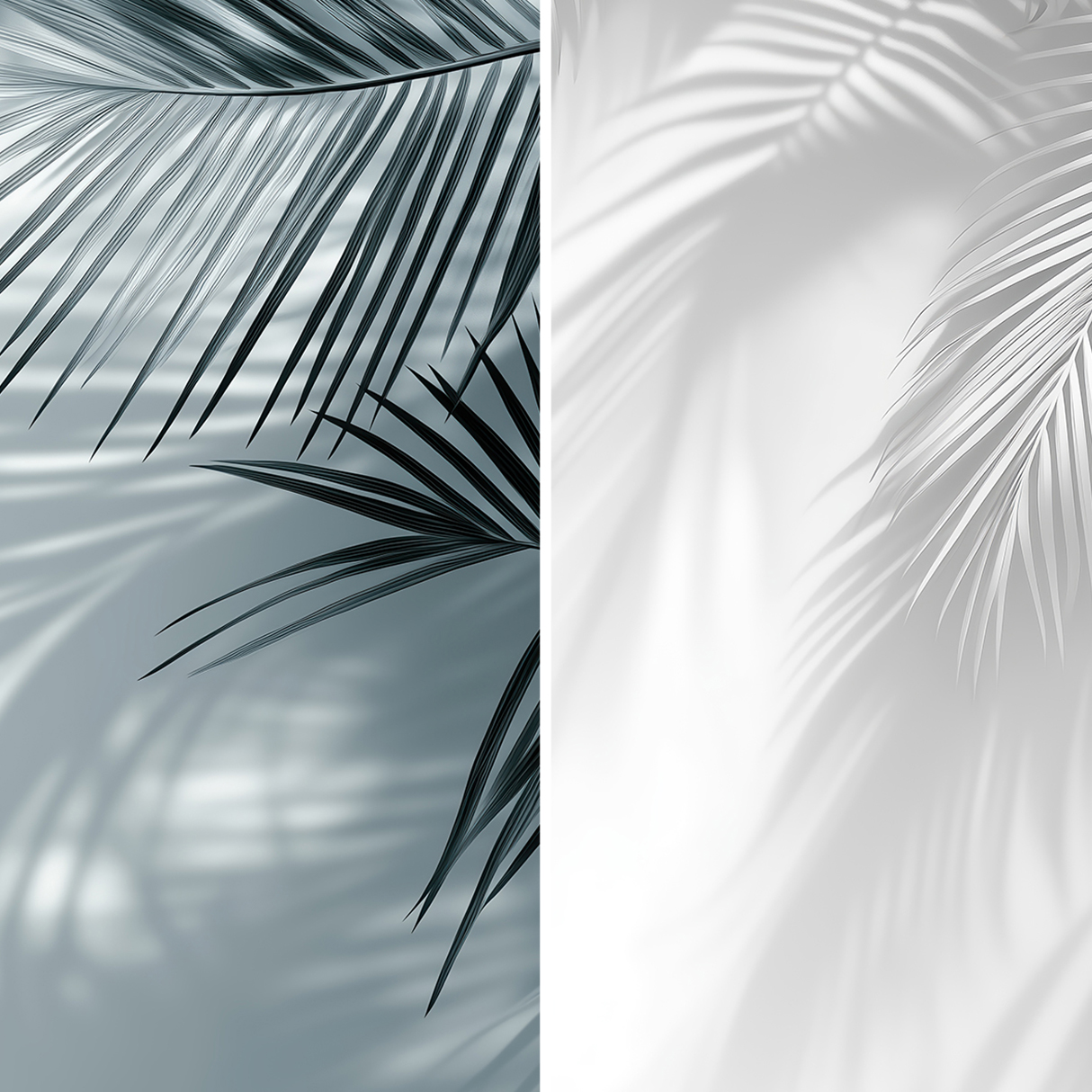 20 Palm Branches Shadows Backgrounds Samples Preview – Part 03